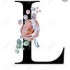 lillyhogg8